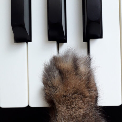 Mellow Keys Profile Pic